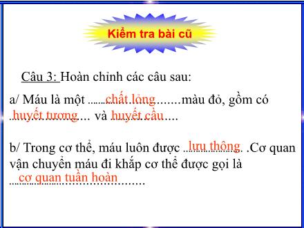 Bài giảng Tự nhiên và Xã hội Lớp 3 - Hoạt động tuần hoàn - Trường Tiểu học Nguyễn Tuân