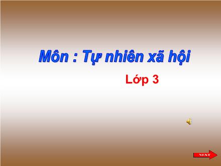 Bài giảng Tự nhiên và Xã hội Lớp 3 - Lá cây - Trường Tiểu học Nguyễn Trãi