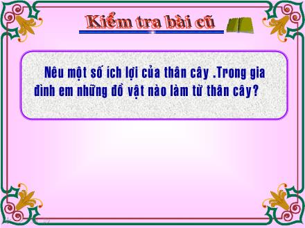 Bài giảng Tự nhiên và Xã hội Lớp 3 - Rễ cây - Trường Tiểu học Nguyễn Trãi