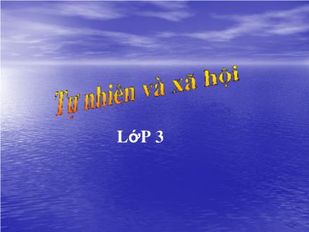 Bài giảng Tự nhiên và Xã hội Lớp 3 - Tiết 23: Phòng cháy khi ở nhà - Trường Tiểu học Nguyễn Trãi