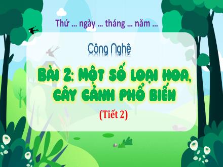 Bài giảng Công nghệ Lớp 4 (Kết nối tri thức) - Bài 2: Một số loại hoa, cây cảnh phổ biến (Tiết 2)