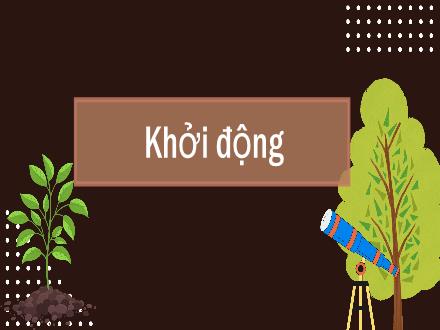 Bài giảng Khoa học Lớp 5 (Cánh diều) - Bài 1: Đất và bảo vệ môi trường đất (Tiết 2)