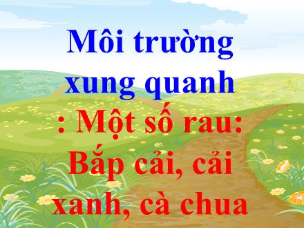 Bài giảng Mầm non Lớp Chổi - Bài: Môi trường xung quanh Một số rau Bắp cải, cải xanh, cà chua