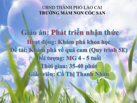 Bài giảng Mầm non Lớp Chổi - Đề tài: Khám phá về quả cam (Quy trình 5E) - Cồ Thị Thanh Nhàn