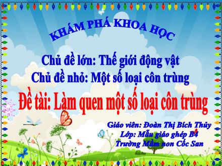 Bài giảng Mầm non Lớp Chổi - Đề tài: Làm quen với 1 số loại côn trùng - Đoàn Thị Bích Thủy