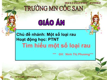 Bài giảng Mầm non Lớp Lá - Chủ đề nhánh: Một số loại rau - Ninh Thị Phương
