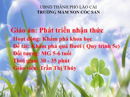 Bài giảng Mầm non Lớp Lá - Đề tài: Khám phá quả Bưởi (Quy trình 5e) - Trần Thị Thúy