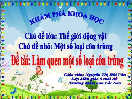 Bài giảng Mầm non Lớp Lá - Đề tài: Làm quen một số loại côn trùng - Nguyễn Thị Hải Vân