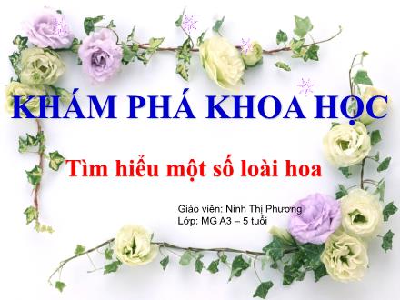 Bài giảng Mầm non Lớp Lá - Khám phá khoa học: Tìm hiểu 1 số loài hoa - Ninh Thị Phương