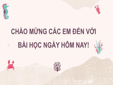 Bài giảng Tiếng Việt Lớp 3 (Đọc) Sách Kết nối tri thức - Bài: Lần đầu ra biển (Tiết 1+2). Đọc mở rộng