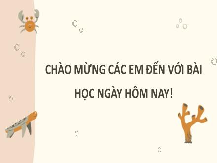 Bài giảng Tiếng Việt Lớp 3 (Luyện từ và câu) - Bài 4: Từ ngữ chỉ đặc điểm màu sắc, hình dáng, kích thước, hương vị