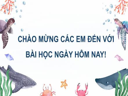 Bài giảng Tiếng Việt Lớp 3 (Nói và nghe) Sách Kết nối tri thức - Bài: Một buổi tập luyện (Tiết 3)