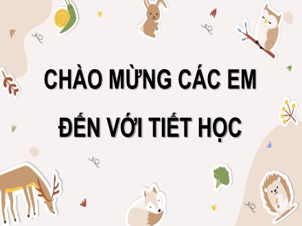 Bài giảng Toán Lớp 3 (Cánh diều) - Bài 15: Gam