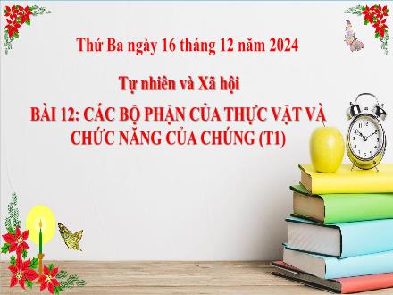 Bài giảng Tự nhiên và Xã hội Lớp 3 (Cánh diều) - Bài 12: Các bộ phận của thực vật và chức năng của chúng (Tiết 1) - Năm học 2024-2025