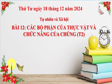 Bài giảng Tự nhiên và Xã hội Lớp 3 (Cánh diều) - Bài 12: Các bộ phận của thực vật và chức năng của chúng (Tiết 2) - Năm học 2024-2025