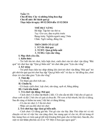 Giáo án Mầm non Lớp Chồi - Chủ đề lớn: Cây và những bông hoa đẹp - Chủ đề nhỏ: Bé thích quả gì - Năm học 2024-2025 - Nguyễn Thị Lựu