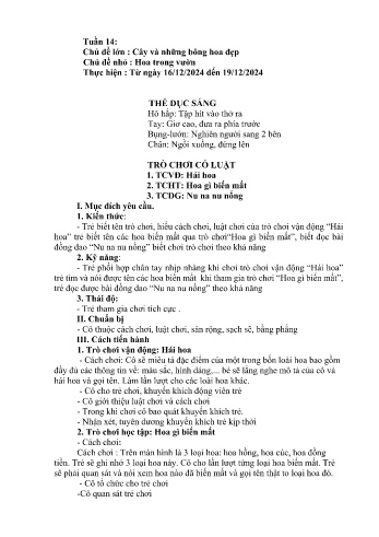 Giáo án Mầm non Lớp Chồi - Chủ đề lớn: Cây và những bông hoa đẹp - Chủ đề nhỏ: Hoa trong vườn - Năm học 2024-2025 - Lý Thị Hoa