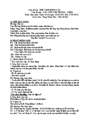 Giáo án Mầm non Lớp Chồi - Chủ đề lớn: Thế giới động vật - Chủ đề nhỏ: Các con côn trùng. Chim - Năm học 2024-2025 - Tống Minh Thu