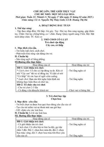 Giáo án Mầm non Lớp Mầm - Chủ đề lớn: Thế giới thực vật - Chủ đề nhỏ: Một số loại hoa - Năm học 2024-2025 - Nguyễn Thị Thùy Linh